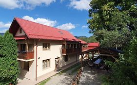 Cabana Muntele Paltinei